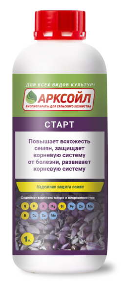 Арксойл - Старт