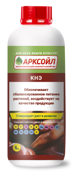 Арксойл - Старт