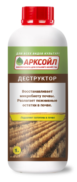 Арксойл - Старт